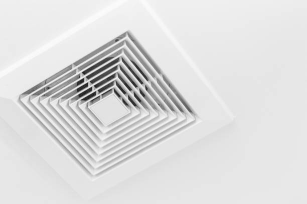 Best Air Duct Cleaning Near Me  in Niwot, CO